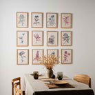 Atelier Auge Gallery wall setup featuring framed hand-drawn botanical illustrations of various flowers in a minimalist and contemporary style.