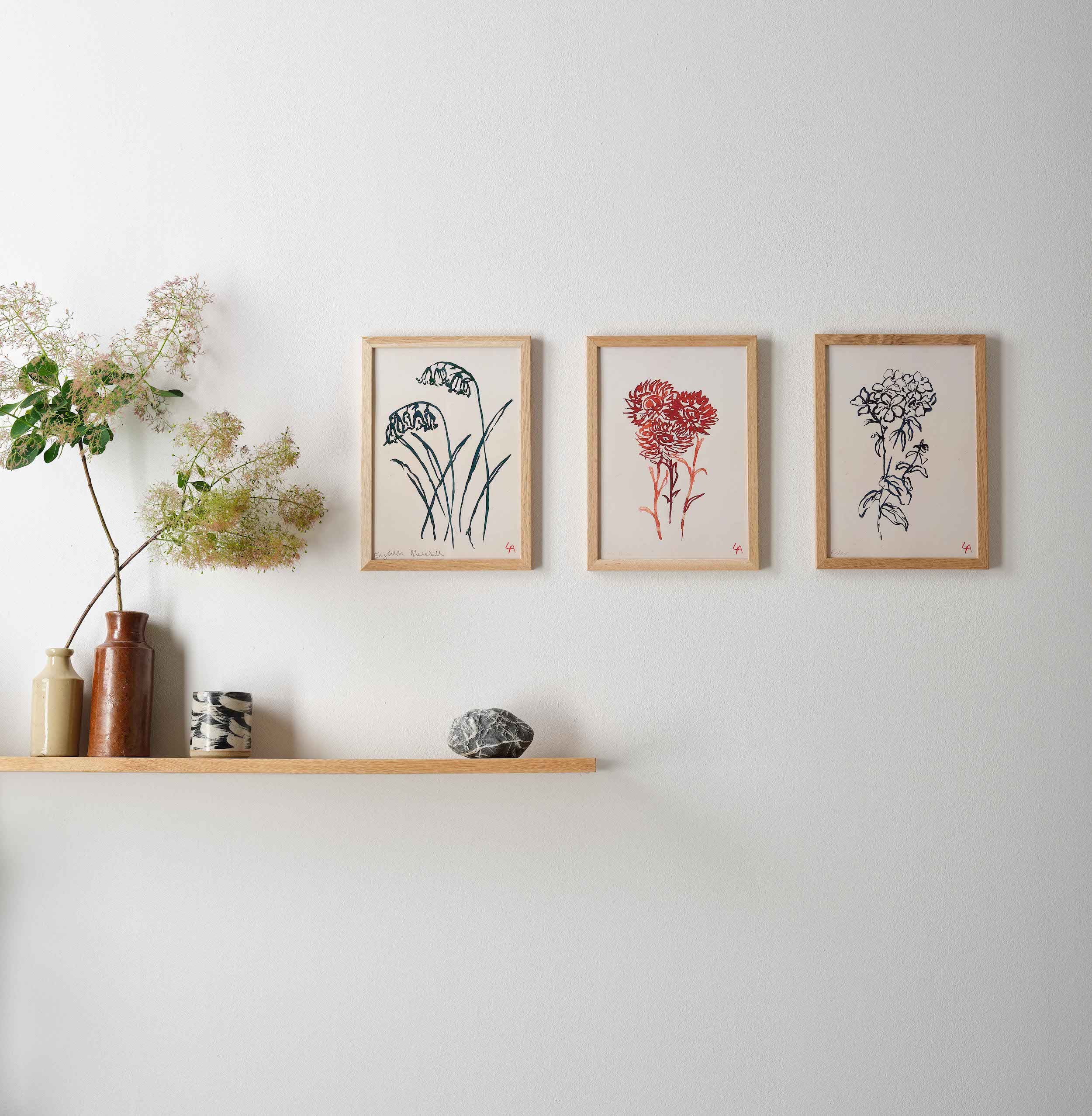 Atelier Auge Gallery wall setup featuring framed hand-drawn botanical illustrations of various flowers in a minimalist and contemporary style.