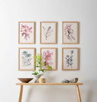 Atelier Auge Gallery wall setup featuring framed hand-drawn botanical illustrations of various flowers in a minimalist and contemporary style