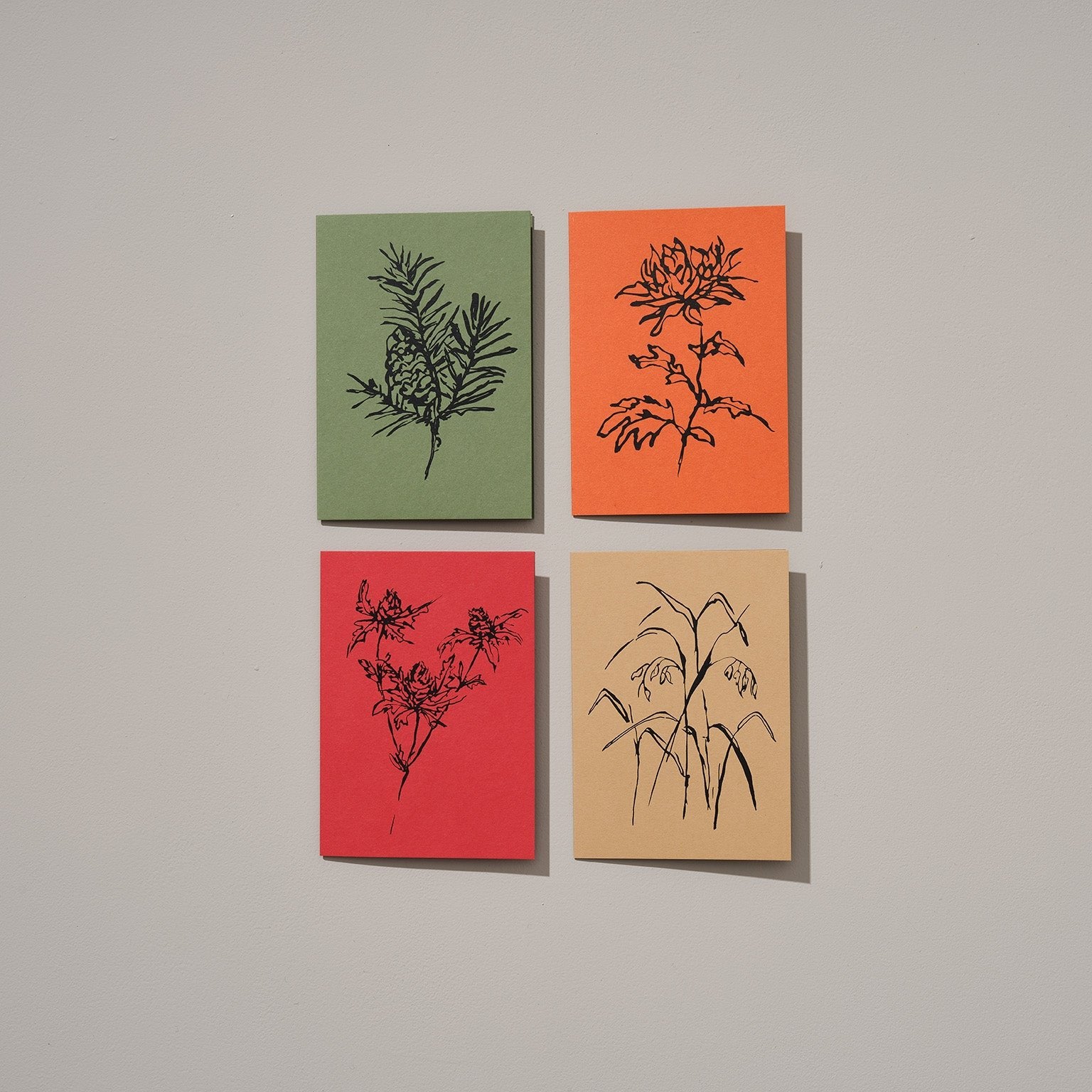 Autumn floral greeting card collection featuring rich illustrations of balsam fir, thistle, chrysanthemum, and quaking grass, showcasing earthy tones that capture the warmth and beauty of the fall season.