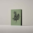 Botanical Christmas greeting card featuring a detailed hand-drawn Balsam Fir illustration by Atelier Auge