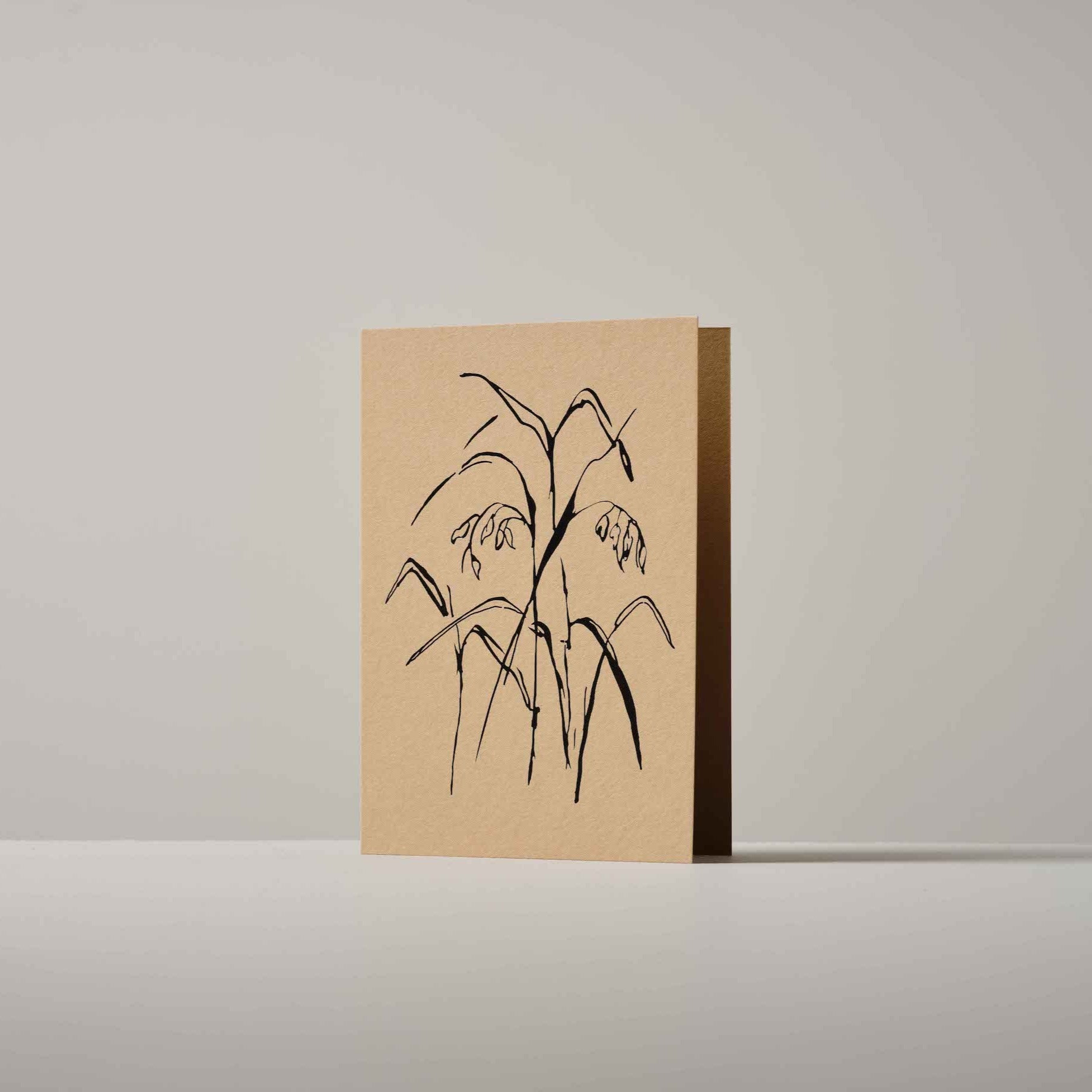 Eco-friendly Atelier Auge greeting card with a hand-drawn botanical illustration of Quaking Grass