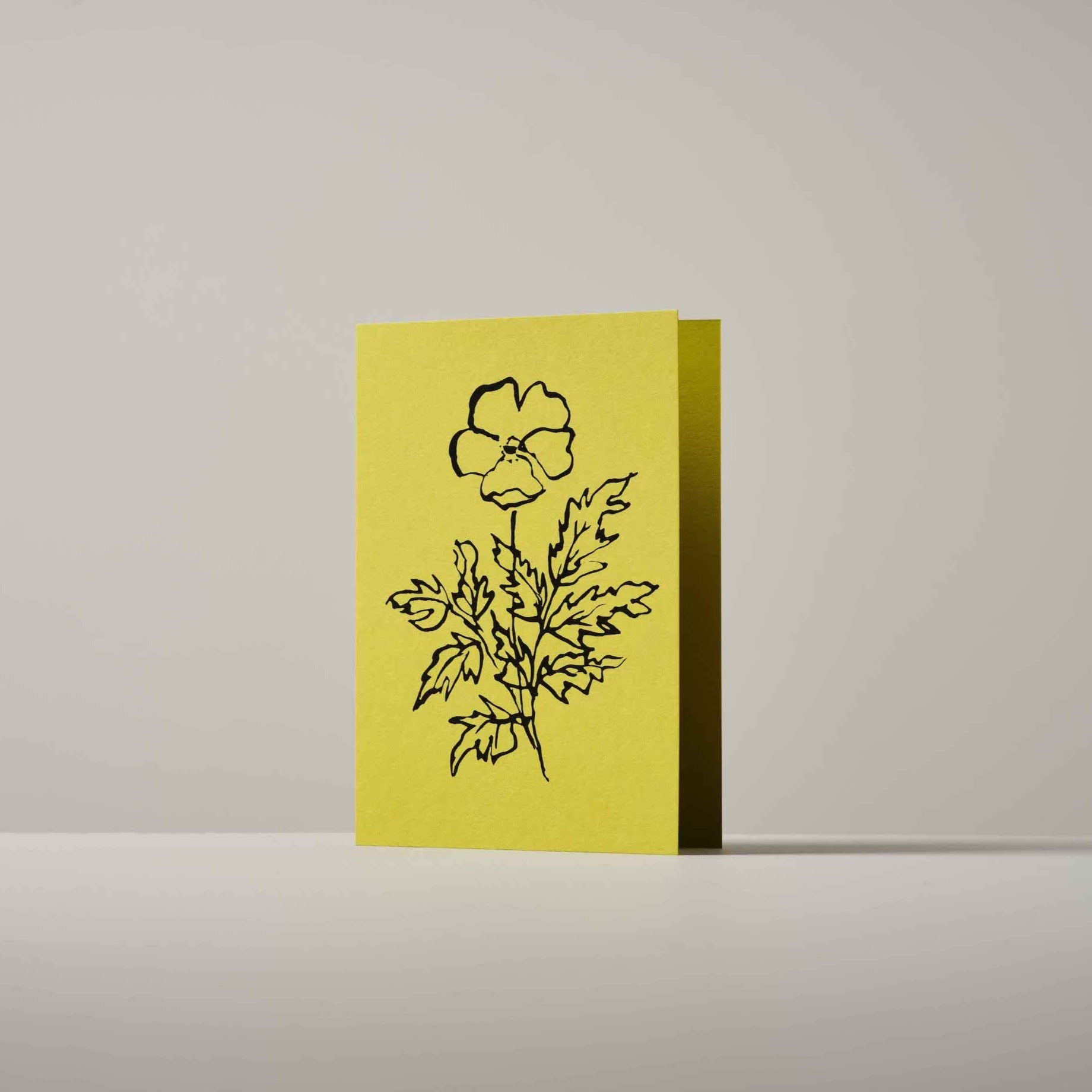 Botanical greeting card featuring a detailed hand-drawn Silverweed flower illustration by Atelier Auge