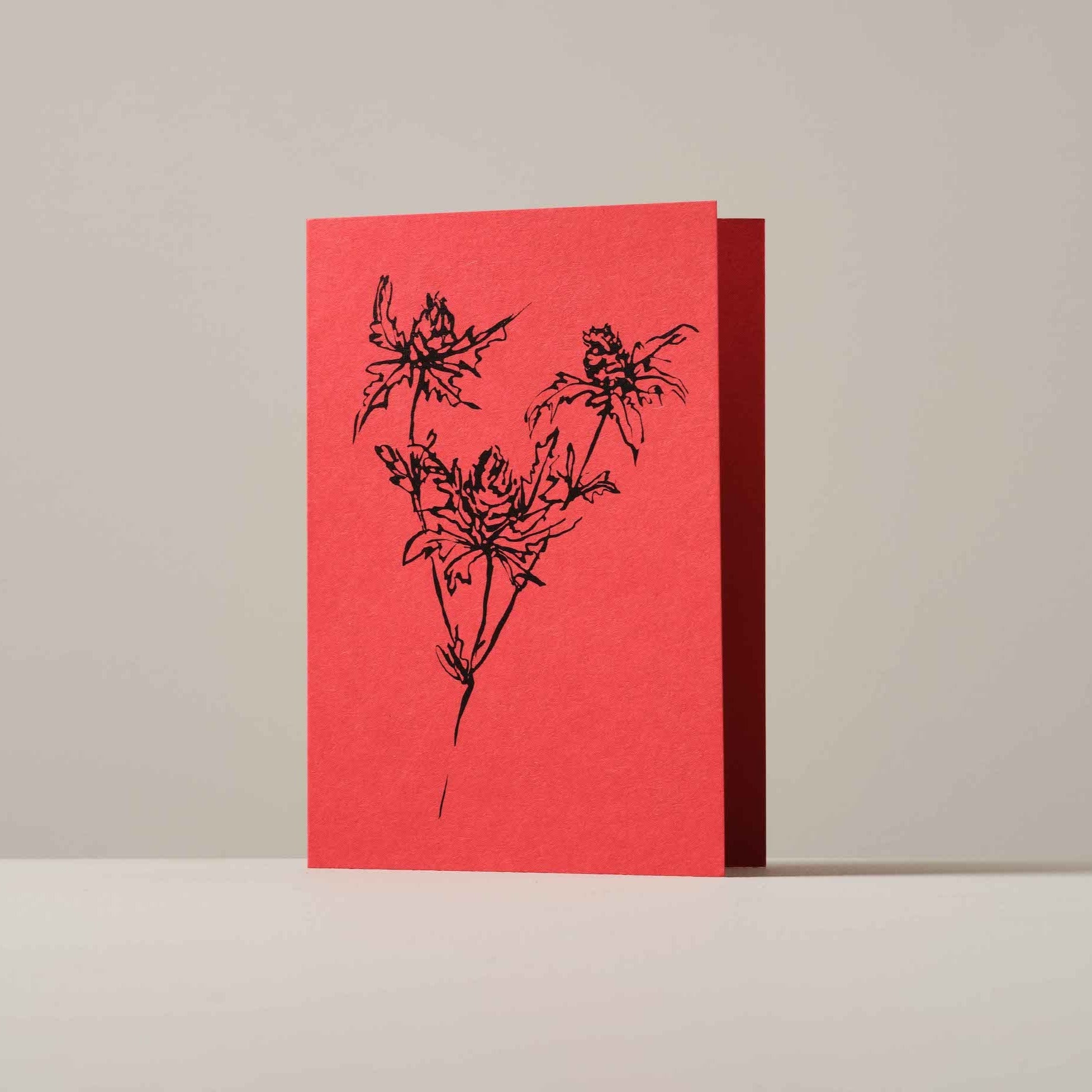 Botanical greeting card featuring a detailed hand-drawn Thistle flower illustration by Atelier Auge